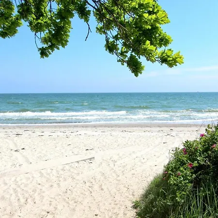 Strandnahe Mit Terrasse, Gratis Nutzung Vom Ahoi Erlebnisbad Und Sauna In Sellin - Rex Rugia 13-3
