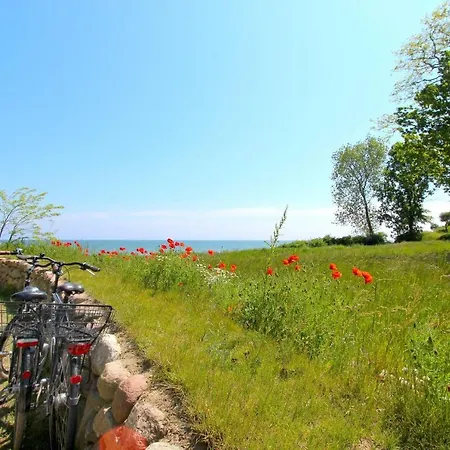 Apartamento Strandnahe Mit Terrasse, Gratis Nutzung Vom Ahoi Erlebnisbad Und Sauna In Sellin - Rex Rugia 13-3